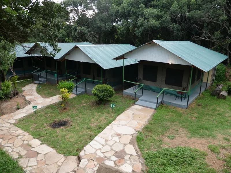 Tented rooms among trees at Miti Mingi Eco Camp, Maasai Mara