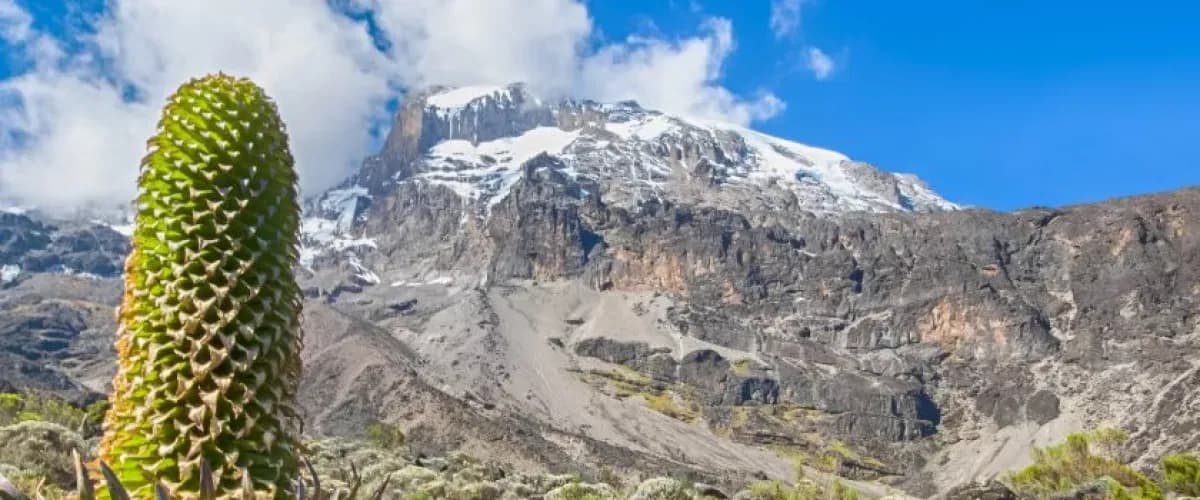 Glaciers and cliffs on the upper slopes of Kilimanjaro's Kibo cone