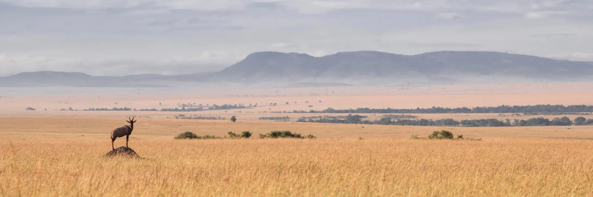 Wide savannah plains below a flat-topped escarpment