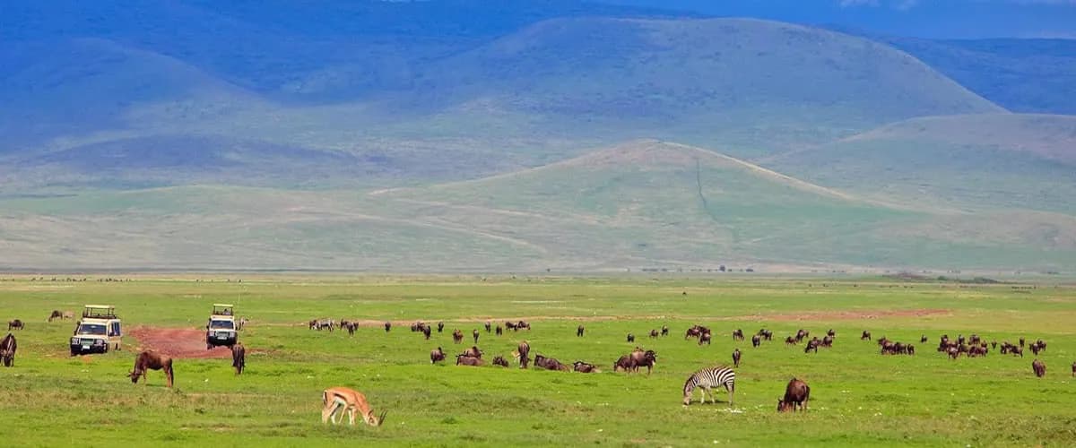 Green crater floor and walls of Ngorongoro